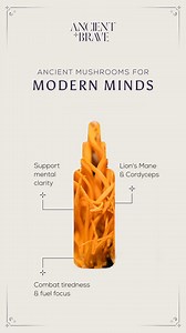 Introducing Brave Clarity mushroom tincture. Sharpen focus, fortify mental resilience and enhance memory with Lions Mane, Cordyceps, Gotu Kola, Rosemary, Sage and Vitamin C. Awaken your inner goddess and reconnect with nature’s wisdom. | Ancient Brave