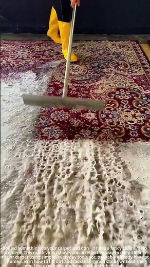 How to Deep Clean a Rug with Basic Tools | No Fancy Equipment Needed)