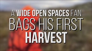 Shooting a Doe With Fawns: What Are the Pros and Cons?