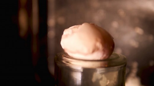 1.6M views · 3.3K reactions | You put an egg in the microwave, it explodes. You put an egg in vinegar, the shell dissolves. So what if we put a naked egg in the microwave? | Steve Mould | Facebook