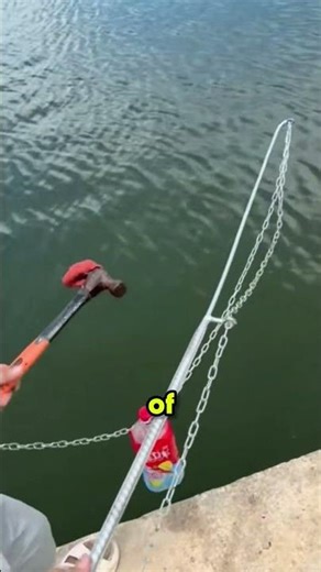 This is the ultimate fish-catching cheat code!‌