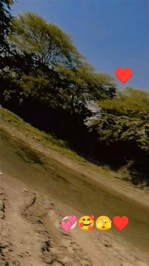 sada bahar songs videos ll सदाबहार सॉन्ग की शर्टवीडियो #hindisong #love #viral # short videos