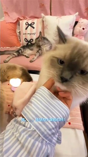 How did it start raining so heavily while coming from office #ytshorts #shortsvideos