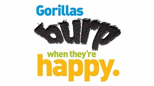 Weird But True!: Fun