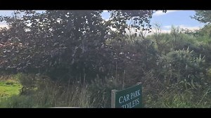 3.9K views · 89 reactions | Hello, David here. This was my welcome to work today. 珞珞珞 Just ask Google for directions and press go to get your visit underway. Team Ledyatt #ledyatttroutfishery #homeofthemega | Ledyatt Trout Fishery | Facebook