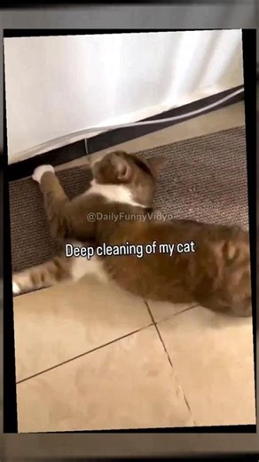 Deep Cleaning with Vacuum 🧹 | Derin Temizlik #Shorts #Temizlik