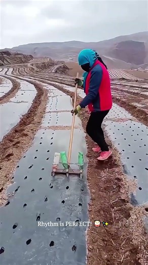 Turning Trash into Treasure! ♻️ This Bottle Hack Saves HOURS of Work! 🧠 #farming #farmhacks