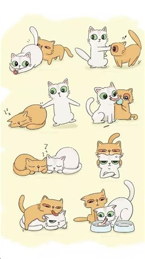 Meet my two cats, turned into a tiny cat IP🐱✨ #cat#catillustration