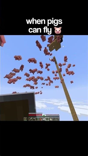 When Pigs Fly