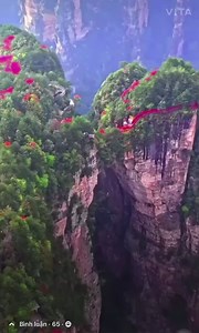 728K views · 135K reactions | NATURE | Flowers and Nature | Facebook