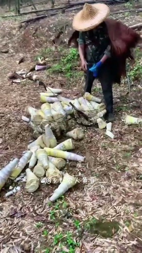 Title: Hardest Jobs: The Risks Farmers Face Every Day FarmLife AgriLife