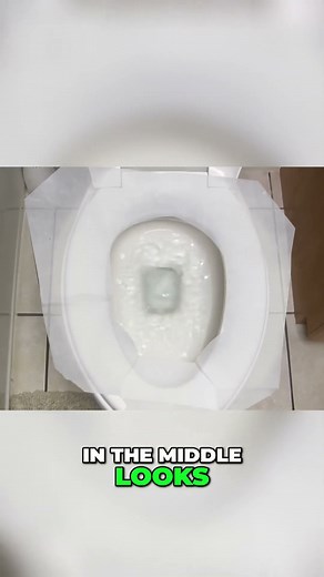 The Correct Way to Use Toilet Paper Seat Covers Stop Wasting Paper! #facts #diy