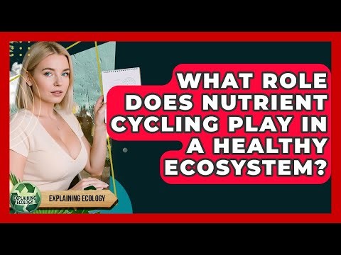 What Role Does Nutrient Cycling Play In A Healthy Ecosystem? - Explaining Ecology