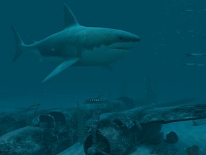 Sharks - Great White 3D Screensaver