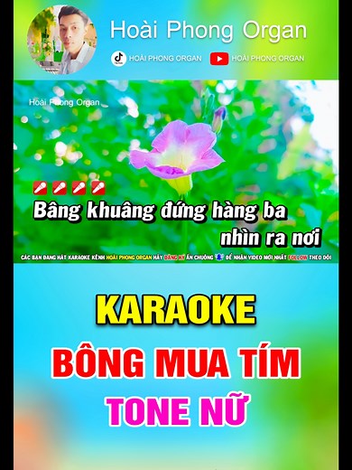 Karaoke Bông Mua Tím - Tone Nữ Nhạc Sống