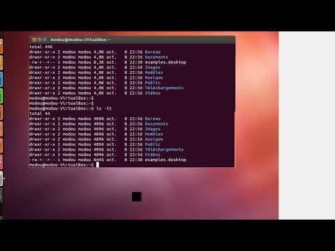 Using Files with the Command Line in Linux