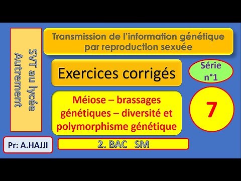 Exercices QCM corrigés sur la méiose, brassages génétiques et polymorphisme génétique