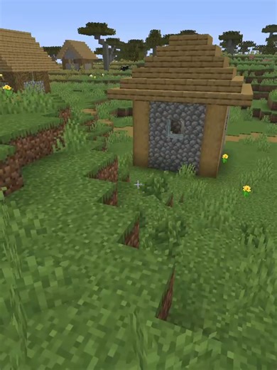 A follar que cosa ... #NoShell #NoReaper #ItzRealShell #Shell #capcut #fyp #fypppppppppppppp #humor #sigma #minecraft #java #miguelillorl #miguel @miguelillorl