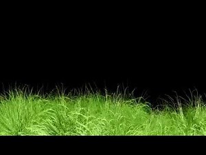 Grass Green Screen video