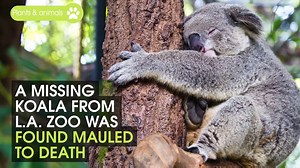 21K views · 137 reactions | The poor thing didn't stand a chance! | Science Is Awesome | Facebook