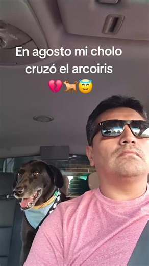 Reflexiones sobre la reencarnación y el amor por los perros