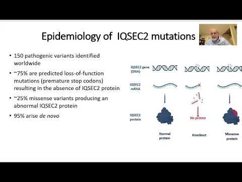 Gene Therapy for Mutations in the IQSEC2 Gene