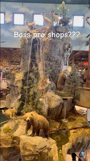 Cabela’s or Bass pro shops #fishing #bassfish #bassproshop #cabelas ￼
