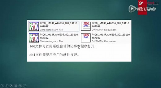 Chromas & ContigExpress 软件教学