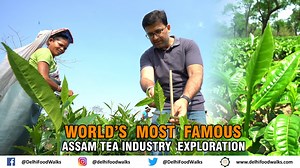 22K views · 827 reactions | Our new video on the world famous Assam Tea industry is now up on our YouTube channel. Be enthralled by the lush green vistas of tea bushes, the lively team of tea pluckers, the activities in the processing unit etc. Happy viewing. Full video link- https://m.youtube.com/watch?v=HuIg2l8NdeQ You Tube:https://www.youtube.com/user/Delhifoodwalks Instagram: https://instagram.com/delhifoodwalks Twitter: https://twitter.com/delhifoodwalks | Delhi Food Walks | Facebook