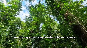 104K views · 1.5K reactions | Tetepare Island is known as the...