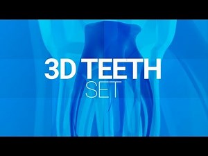3D Models of Human Teeth - After Effects Template