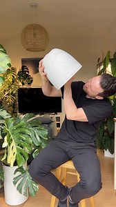 110K views · 169 reactions | Oxalis triangularis is definitely an all time fave!! I’ve had her for over 3 years now and she’s just getting bigger & bushier :) #oxalistriangularis | Sydneyplantguy | Facebook