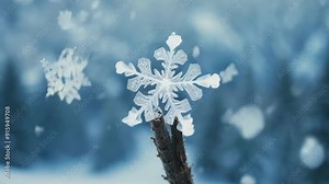 Macro shot of a snowflake landing on a barren branch adding to the picturesque winter scene.