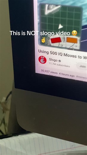 Slogo and Socksfor1 Meet Cool Cats