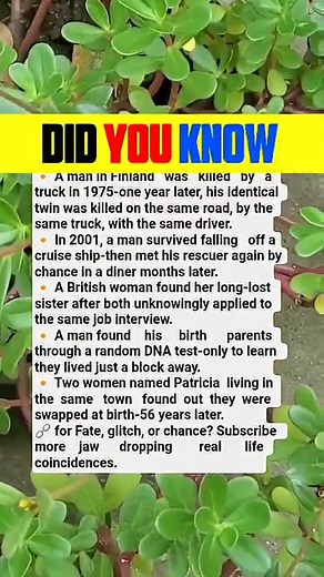 302K views · 1.2K reactions | A DNA test led a man to his birth parents-living just a block away. #facts #didyouknow | General Knowledge | Facebook