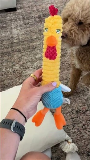 Best dog toy review