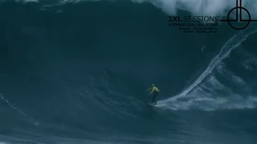 David Of Nazaré on Instagram: "@seashepherd @goenrgy_official @n_o_c_s @vganchocolate @diversfortheocean @hope_zones_foundation @urbansurf4kids @matuseinc @sector9 @spareairofficial @azhiaziam @towsurfzone @officialspacemilk @hempzoo @timponehawaii @lacrau_surfboards @xhapeland @hugocartaxana @ecopro.drivenbynature @cor_surf @d_raw_foods @faro_boardbags @youripnazare @rogue.tv"