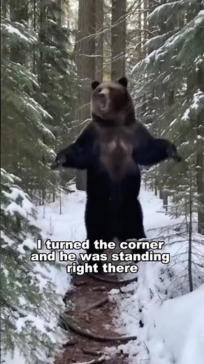 A Wolf Pup Ran Into My Tent To Hide From Grizzly Bear