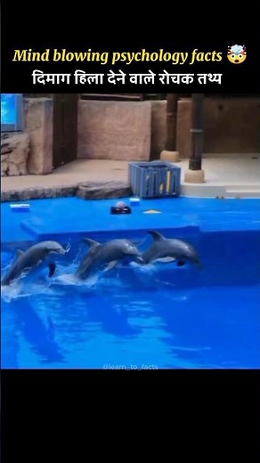Surprising Facts About Dolphin 🐬🐬 #shorts #youtubeshorts #ytshorts