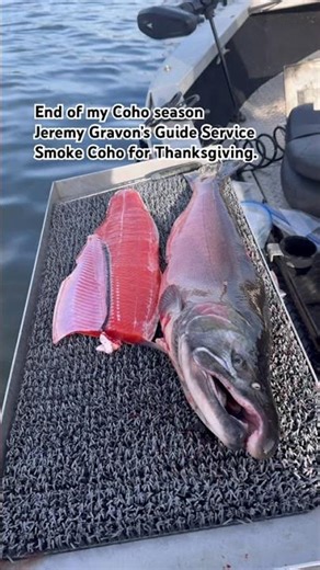 Pretty solid color for late coho run.