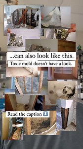 13K views · 65 reactions | You don’t need to see mold to have a mold...