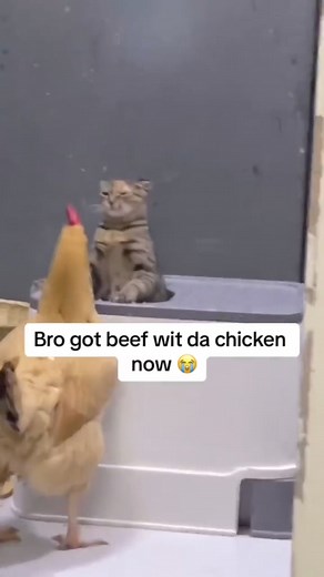 Apex Predator Outfitters on Reels