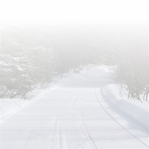 12 reactions | A perfect solution in the North if you find yourself in need of carbides. Companion Hotel will carry a full line of bars for various makes and models to help you complete your trip. Plus an amazing warm shop to get the job done. | Bergstrom Skegs | Facebook