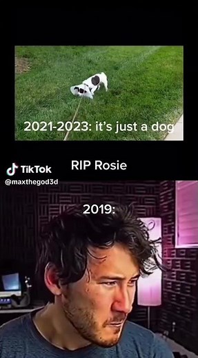 Farewell, Rose from FGTeeV