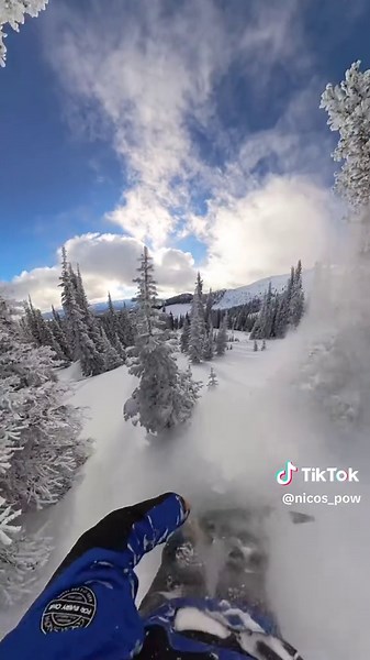 Snowboarding Adventures Through Dense Trees