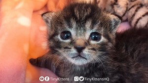 415K views · 75K reactions | We are feeling VERY grateful today!...