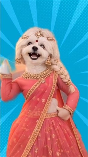 Mast Dog Dance 🐶😂 #dogdance