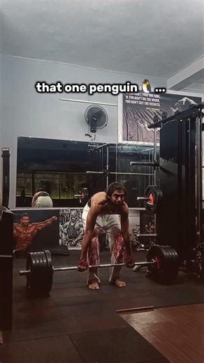 Be seperate be special and be alone make your dream true 🐧🐧... #gym #fitnessmotivation #penguin