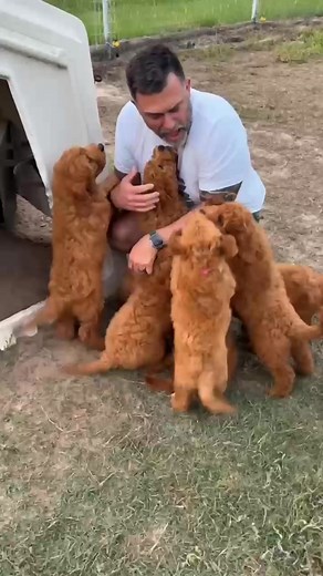 We were just kids when we fell in love 🥰 | Hidden Acres Puppies