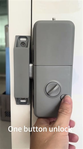 smar rim door lock